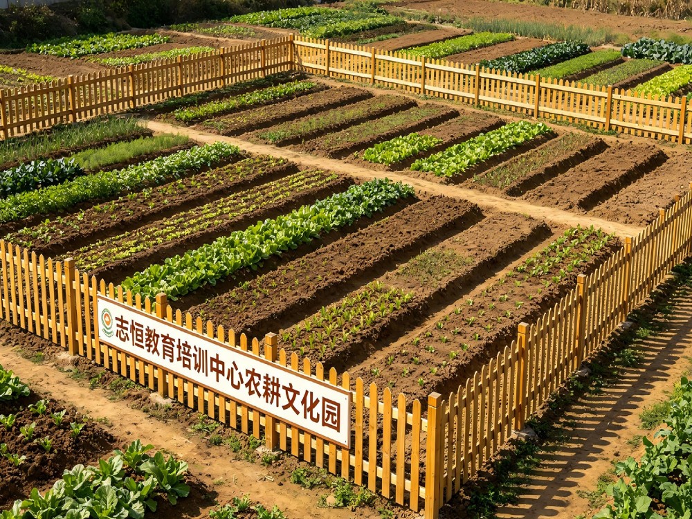2026优选深圳信誉好的叛逆孩子全封闭管教学校口碑推荐